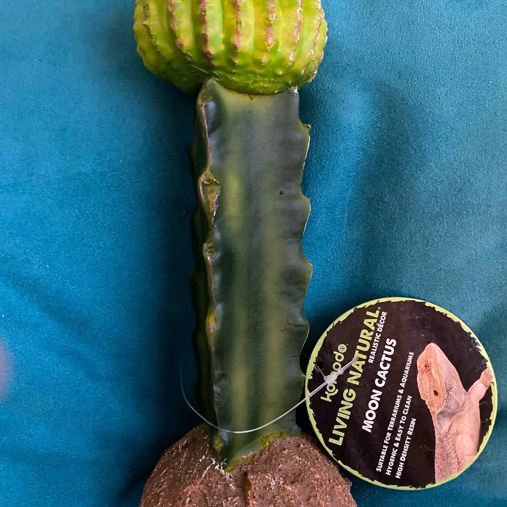 💖3/$15💖 Desert Oasis Reptile Cactus Ornament